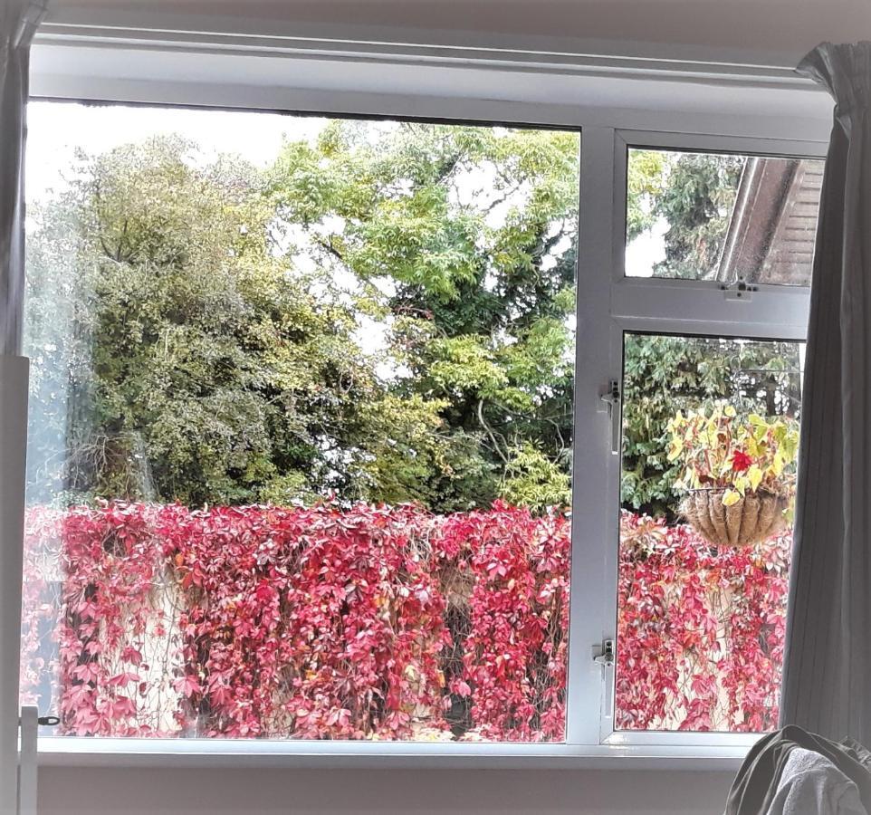 Rathfeigh Country Home Tara מראה חיצוני תמונה