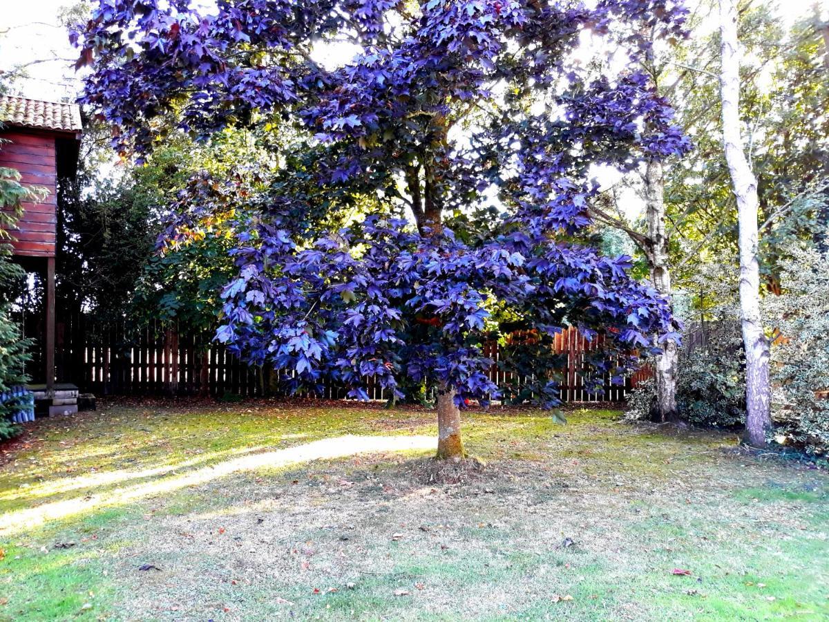 Rathfeigh Country Home Tara מראה חיצוני תמונה