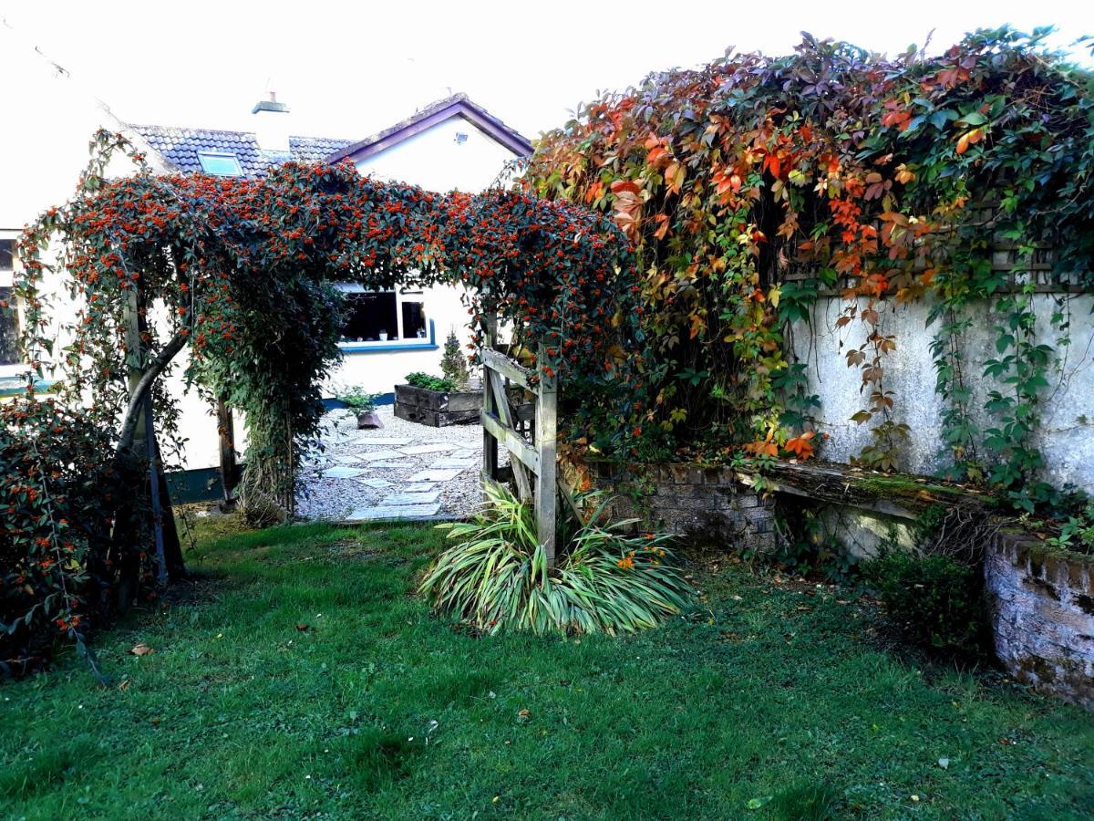Rathfeigh Country Home Tara מראה חיצוני תמונה